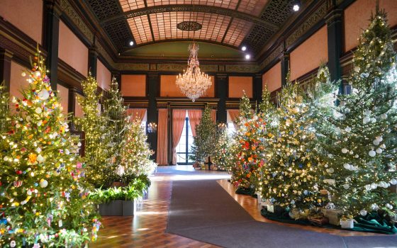 A large ballroom filled with decorated Christmas trees. 